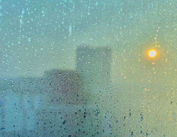 Oh, the Humidity!