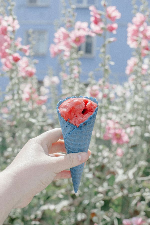Sweetening the Season