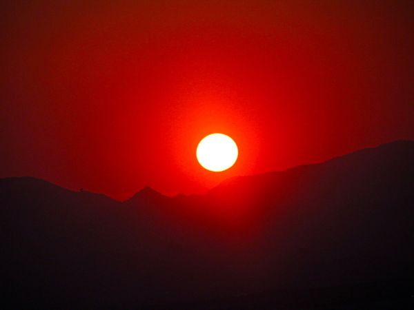 Too Darn Hot