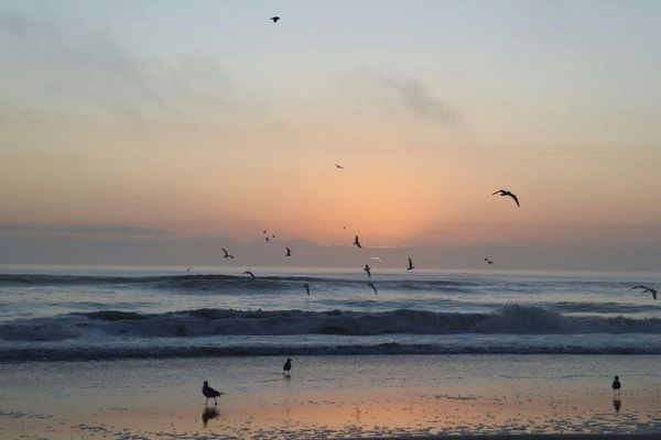 Songs of Summer