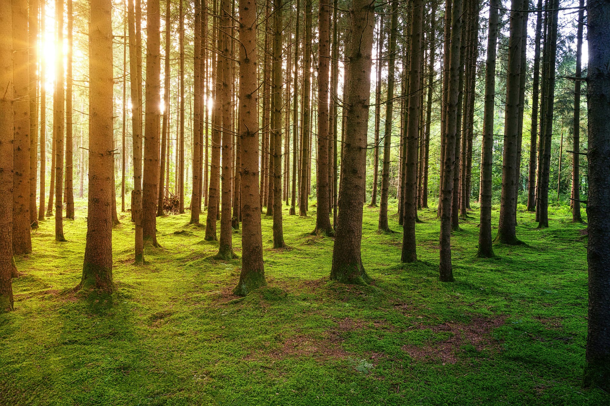 Building resilience through knowledge, preparation, and thoughtful living.