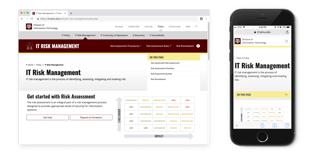 "Microsite" view of IT Risk Management.