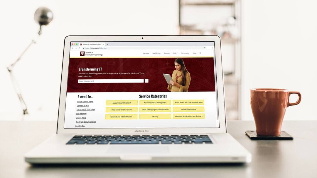 One IT Case Study: Rethinking a Website Strategy
