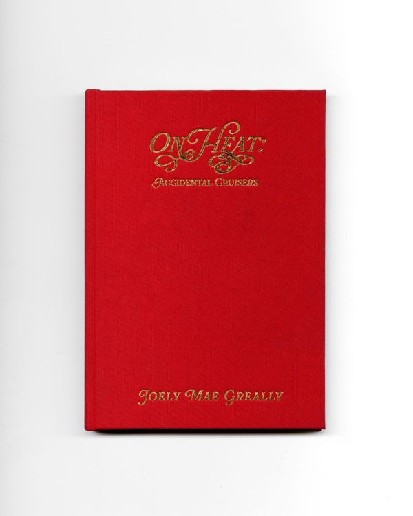 Review: Meg Parrott, 'On Heat' by Joely Mae Greally
