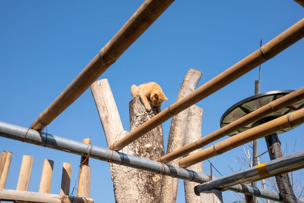 The Struggle Against Procrastination