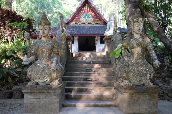 Intuition Week 2: The Hidden Intelligence In Your Body