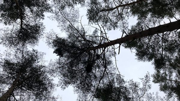 Wie steht es um Österreichs Ressourcennutzung?