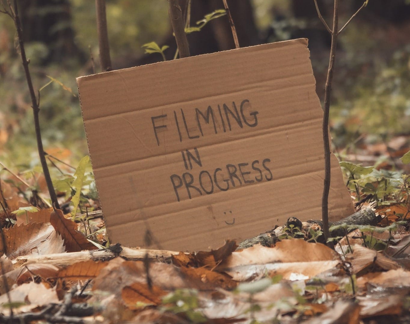 a cardboard sign sitting in the middle of a forest