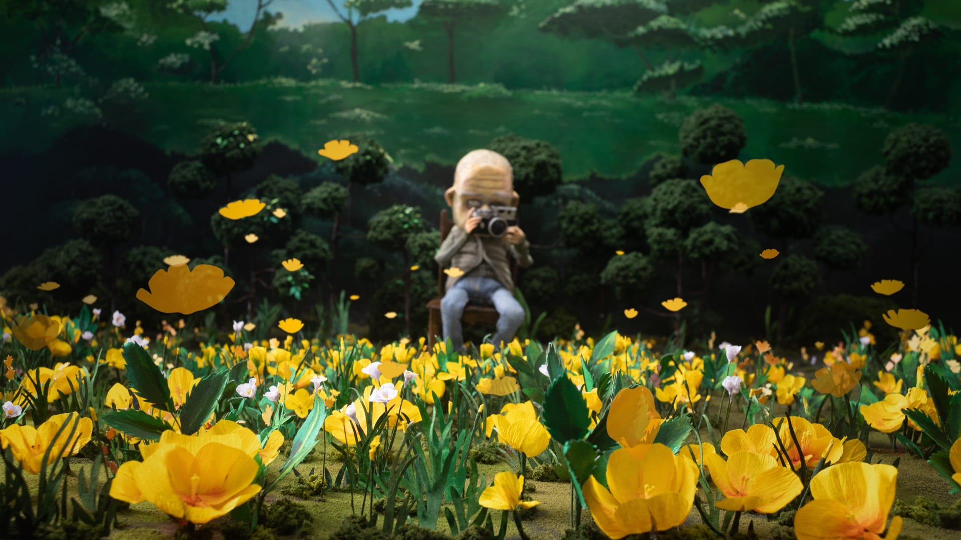 Film still from A Man Who Takes Pictures of Flowers