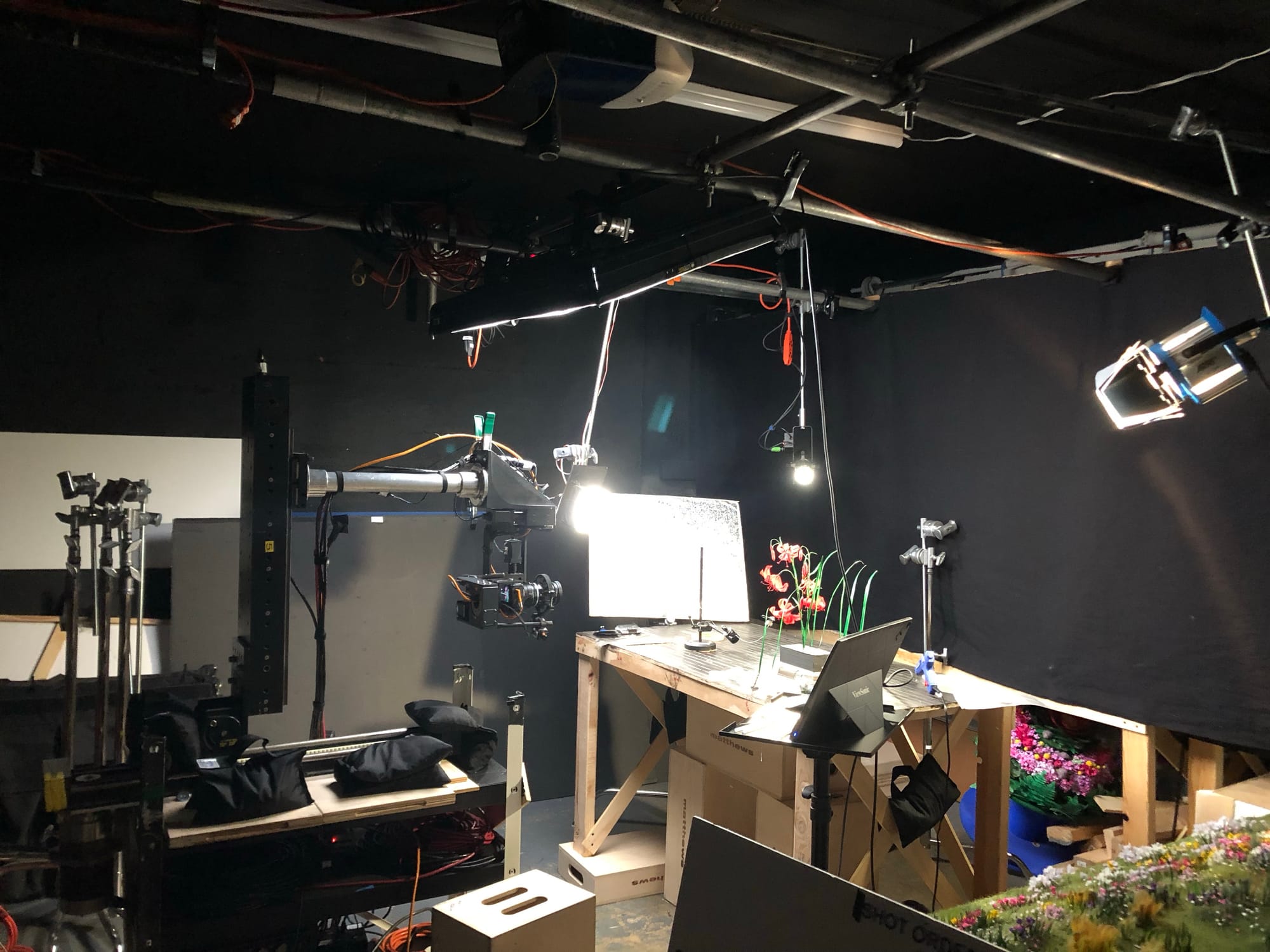 BTS shot from A Man Who Takes Pictures of Flowers