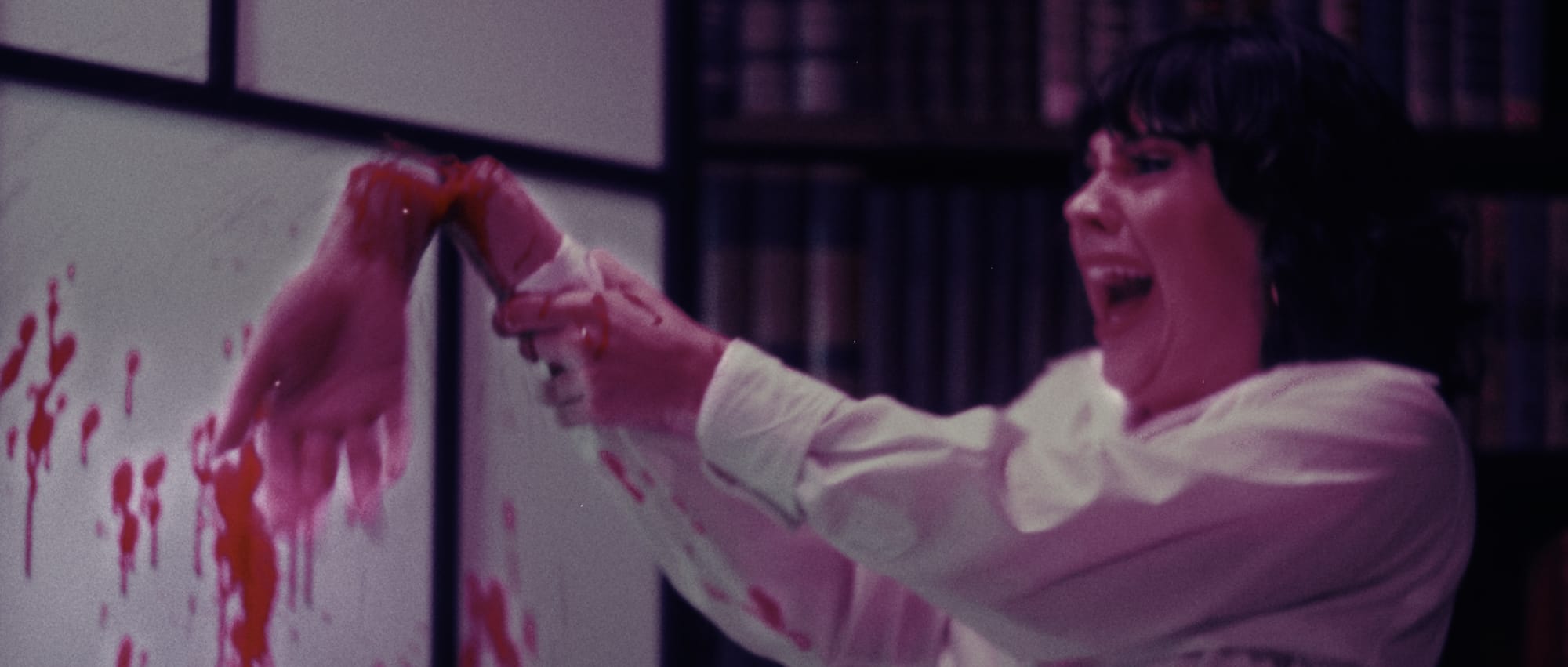 Film still from The Seeing Eye Dog Who Saw Too Much