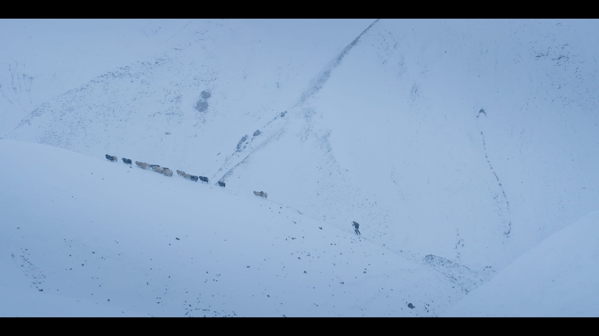 Film still from Fjallferð