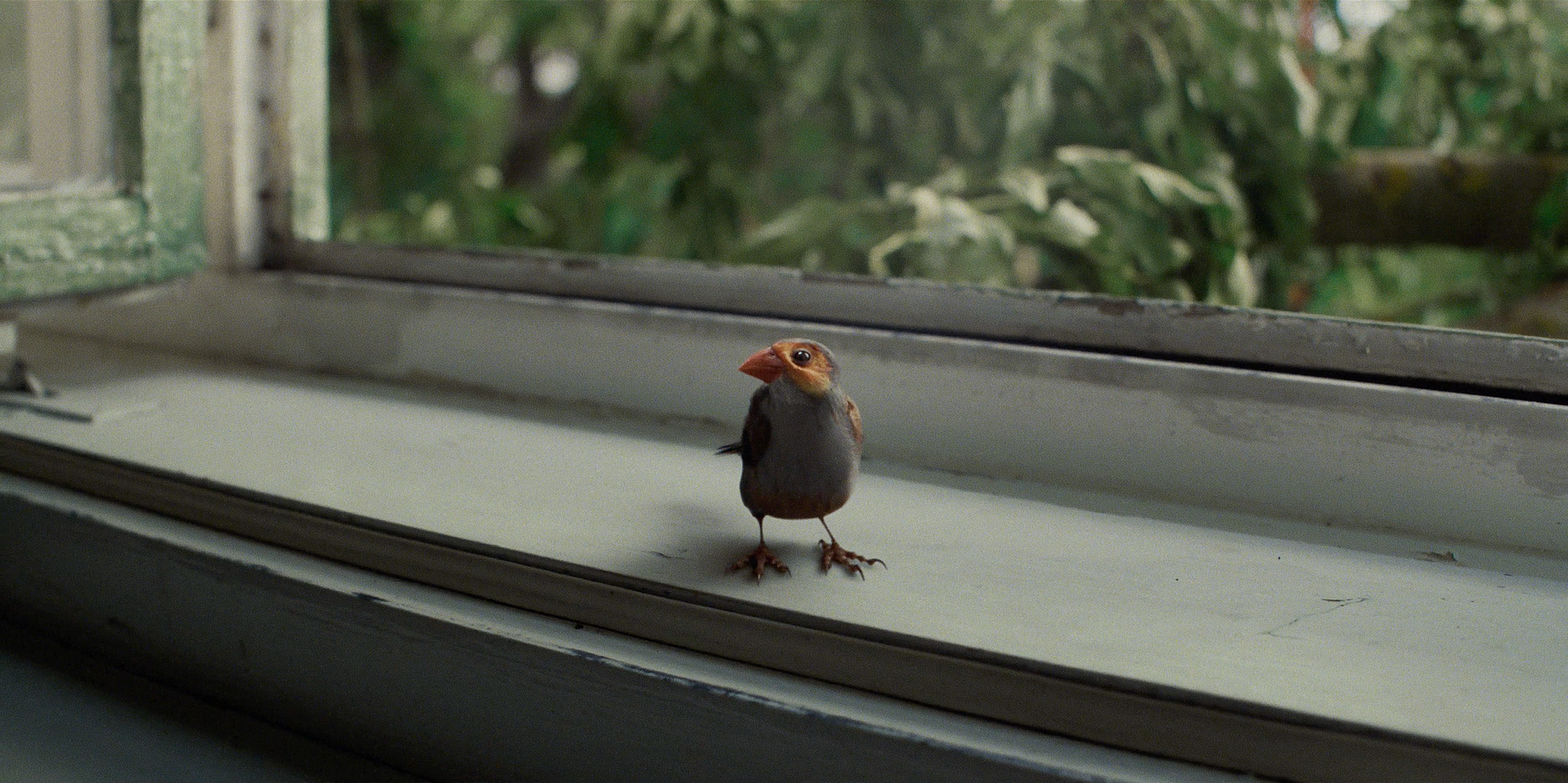 Film still from Director