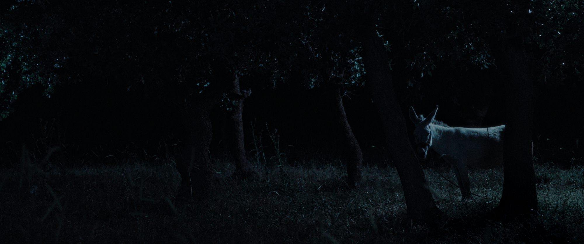 Film still from Beyond The Mind