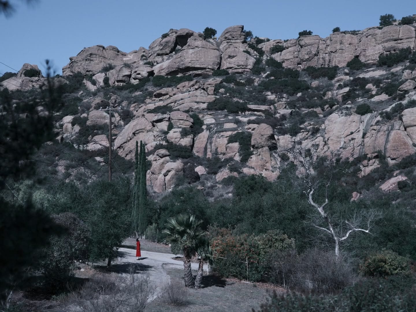 Film still from NIGHT FEEDS
