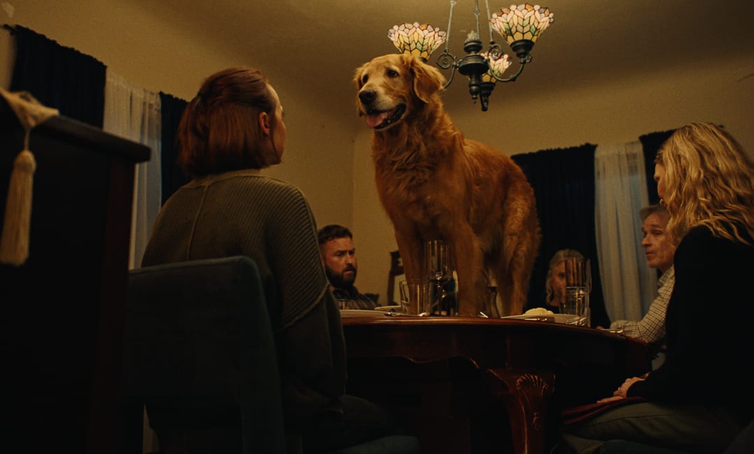 Film still from Head Case