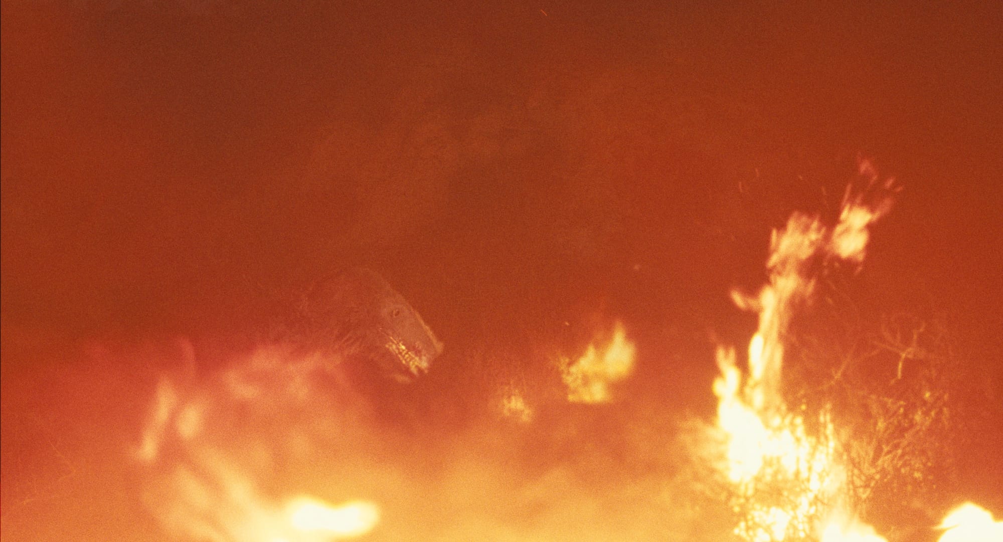 Film still from The Bones Exist