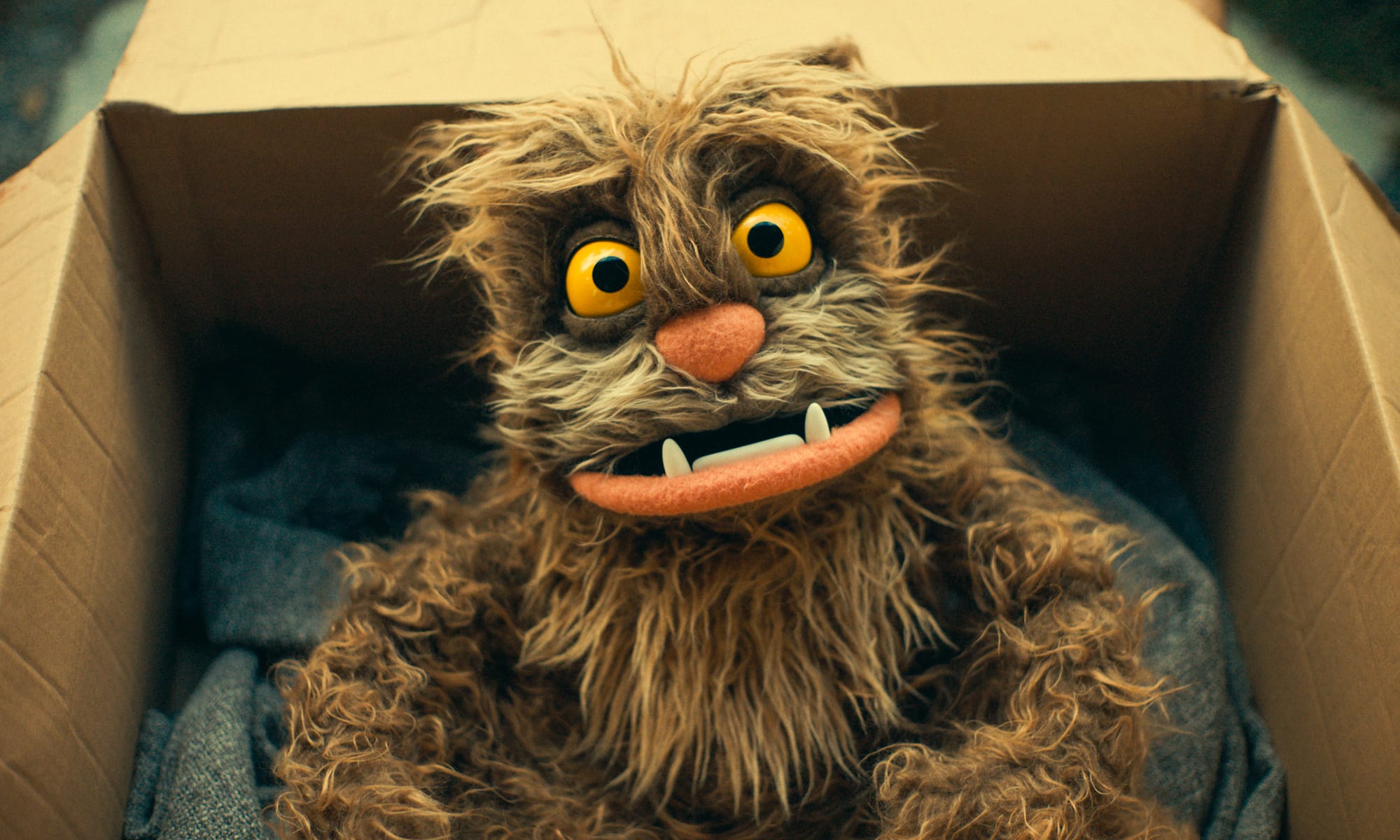 Film still from That Damn Cat