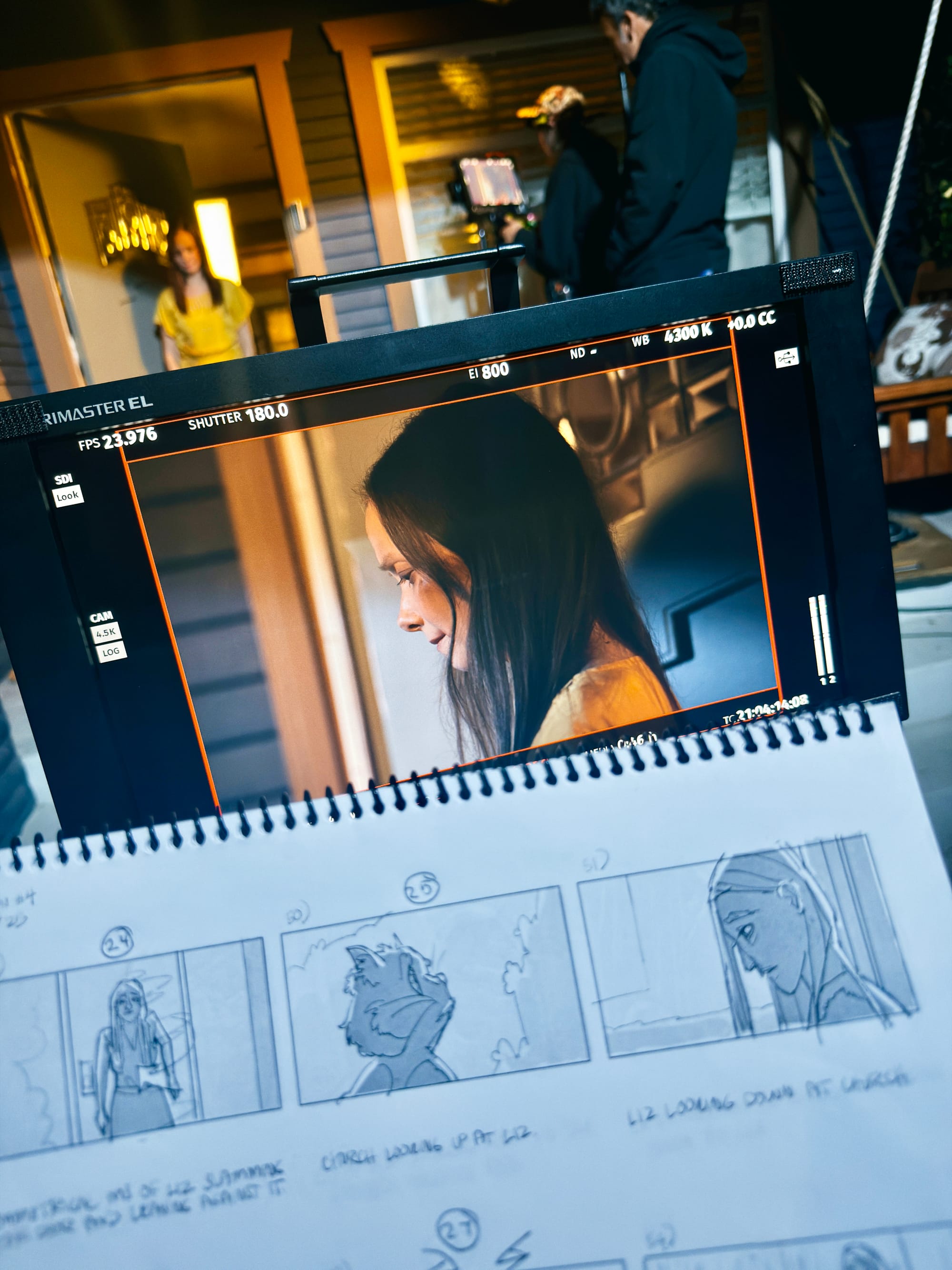 BTS shot from That Damn Cat