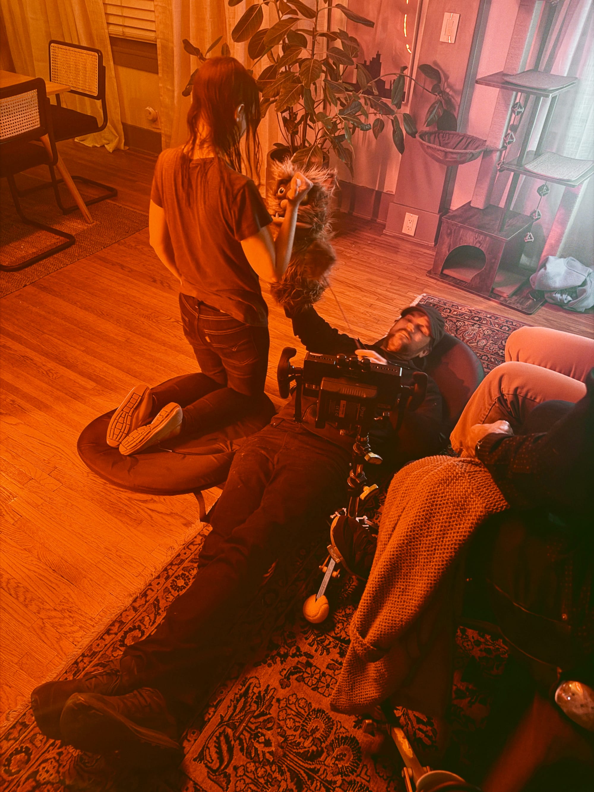 BTS shot from That Damn Cat