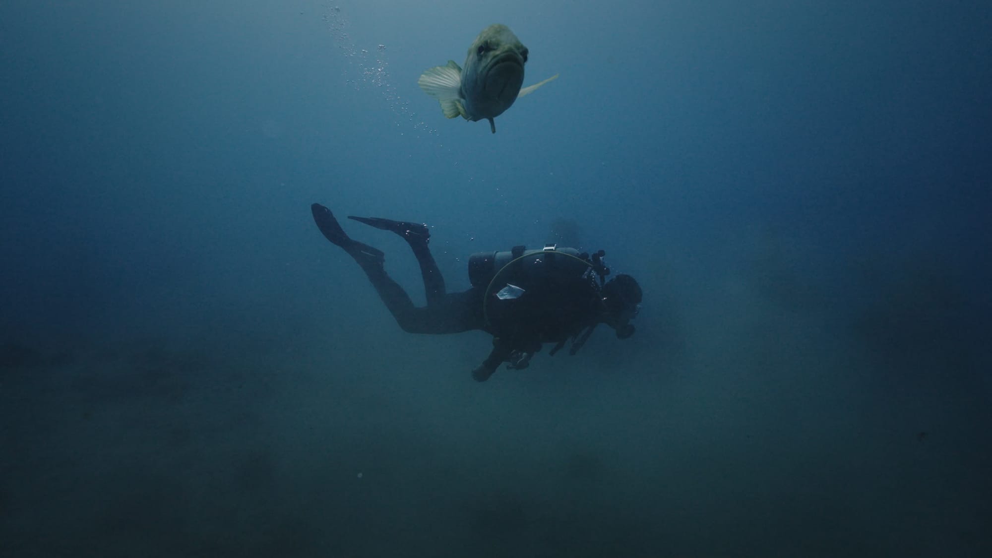 Film still from Lure