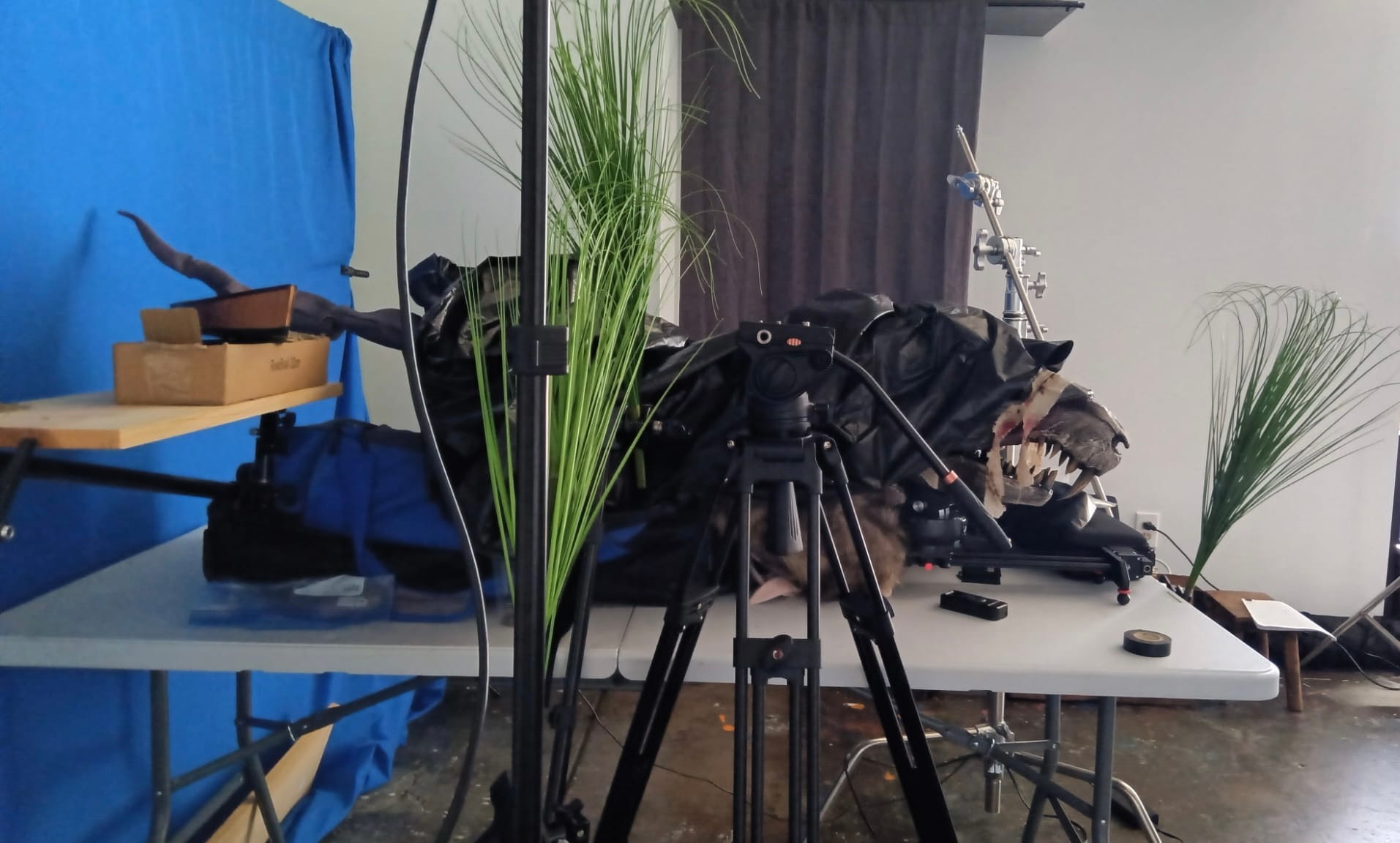 BTS shot from Blood Sugar (a short screenplay)