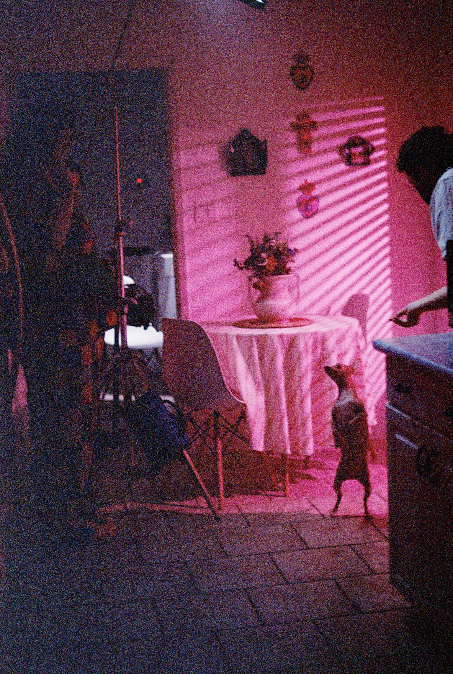 BTS shot from XOLO