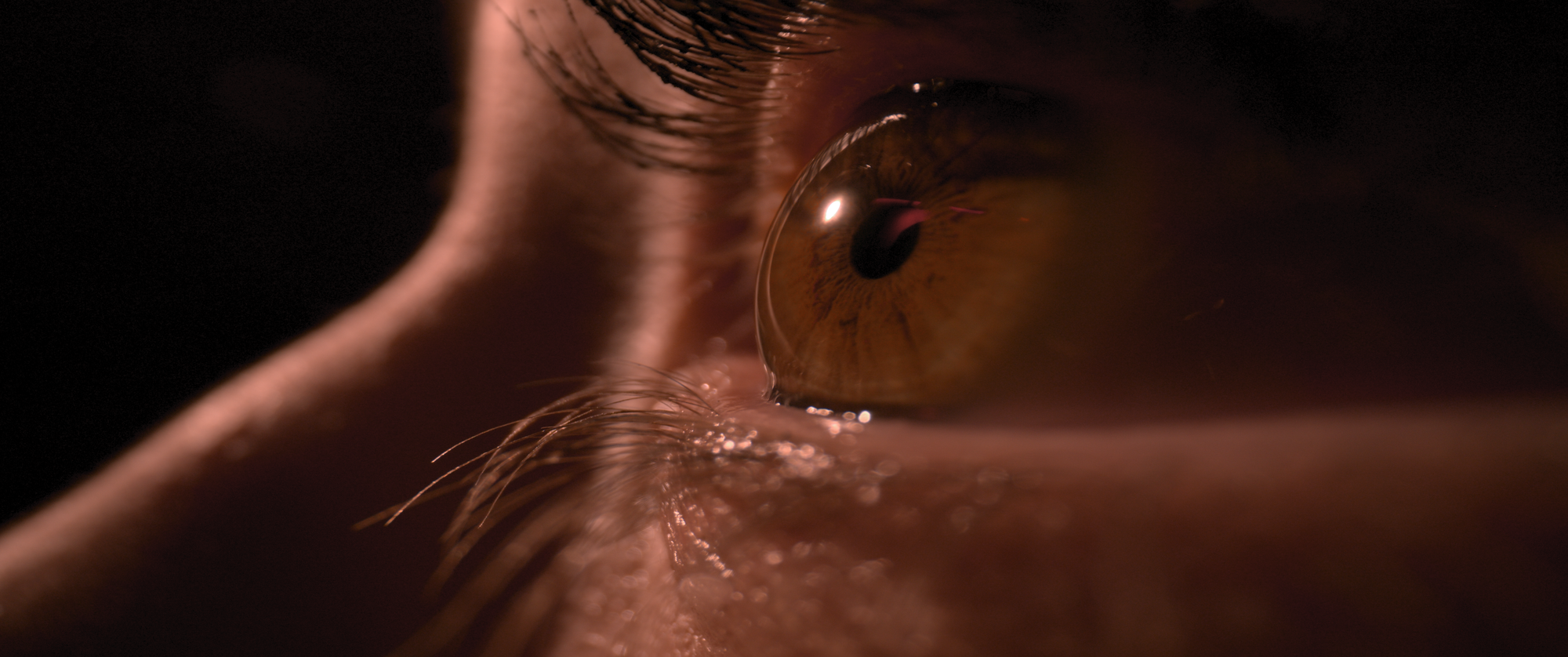 Film still from Inhabitant