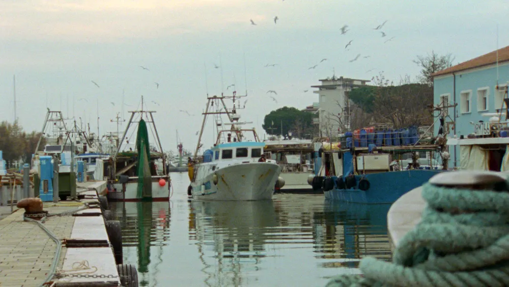 "Songs of Salt" Gives Voice to a Vanishing Coast
