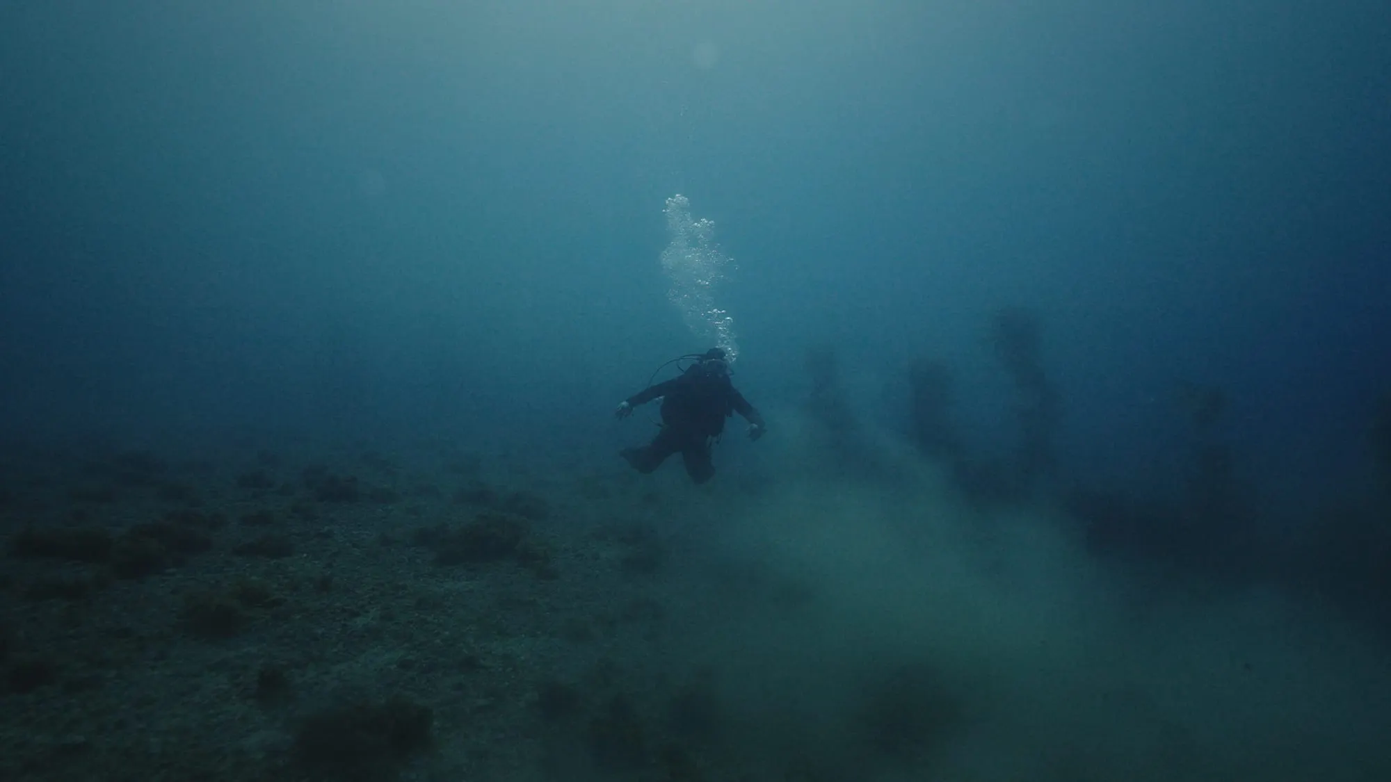 "Lure" Takes Horror Into the Open Ocean