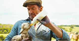 "The Sheep Detectives"