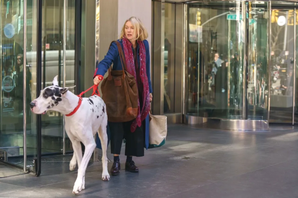 Doggie Corner: "The Friend"