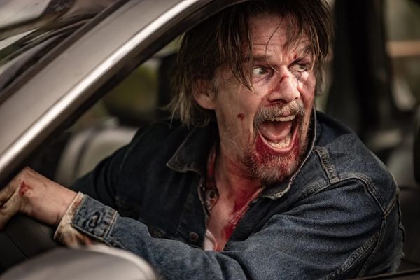 Spotlight: “The Lowdown”