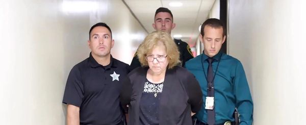 "The Perfect Neighbor"