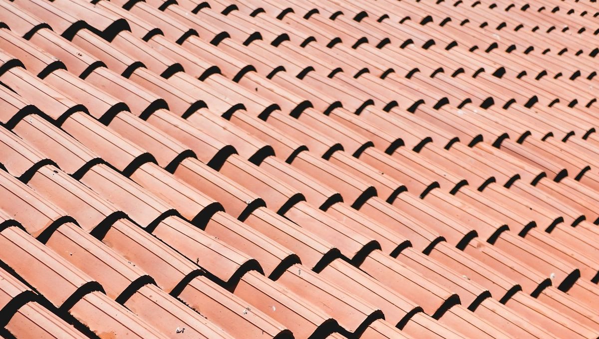 "Wir bauen ein Haus" – Wie P-Dach Jugendliche begeistert und Lehrlinge gewinnt