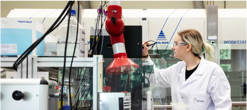 Der „Königsweg“ in der Berufsbildung: Lehre, BM und Studium