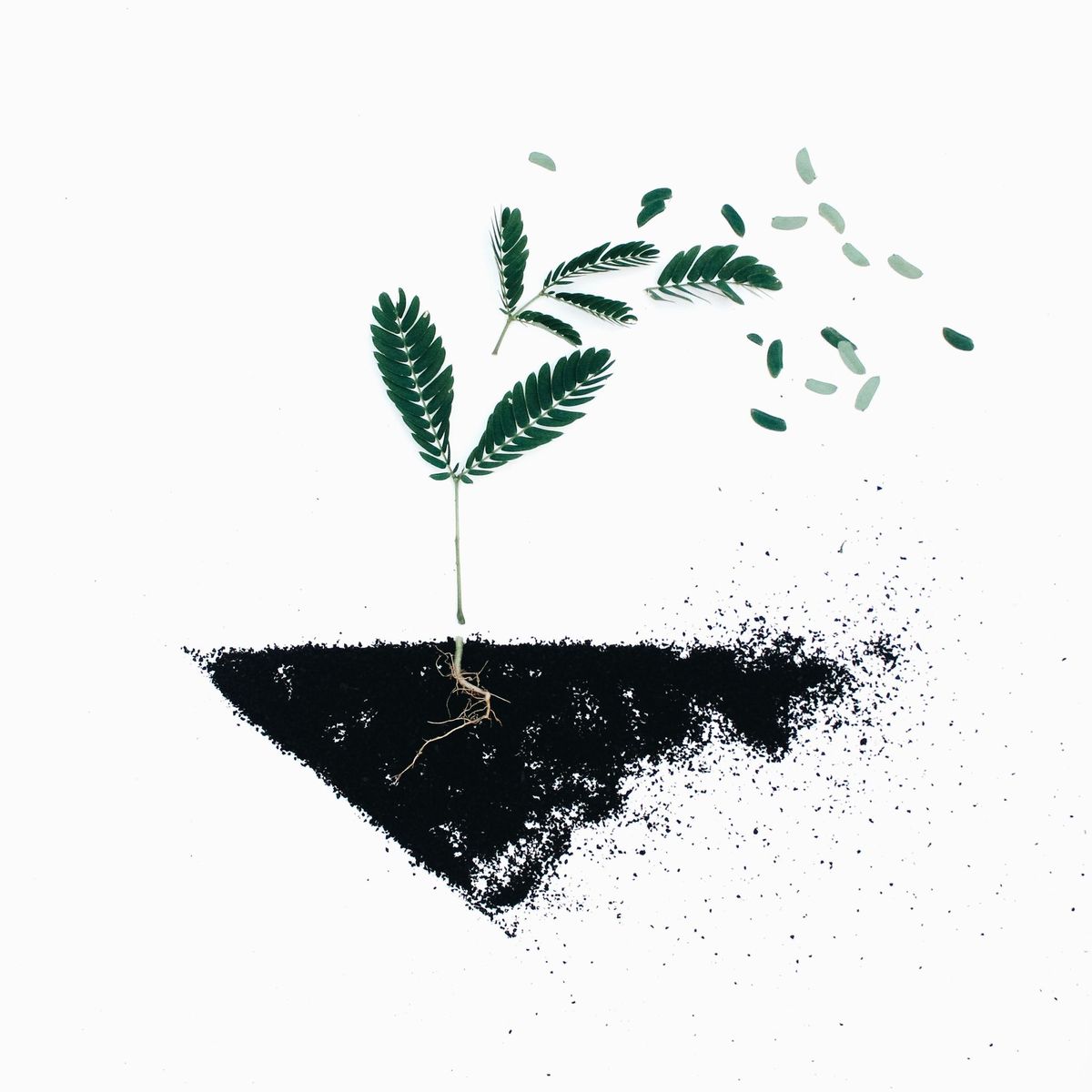 Why we need to care?