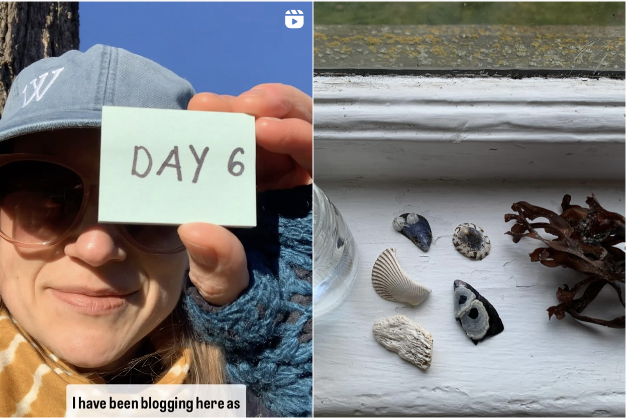 A couple stills from my February 2025 video blogging marathon. Me with a “Day 6” sign, and a still photo containing seawater, seashells, and seaweed. I connected them to my own Executive Functioning. 
