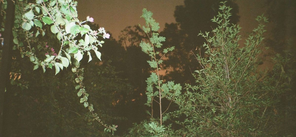 Prep for Session 2 - Creative Compass 2025