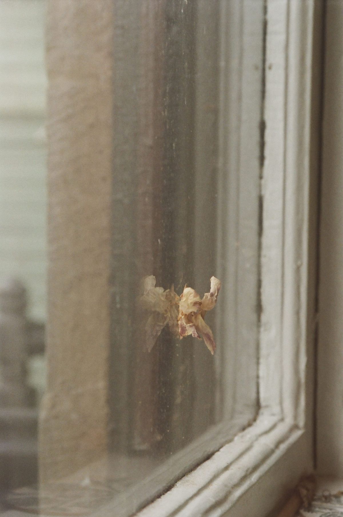 Follow-ups from Session 6 - Creative Compass 2025