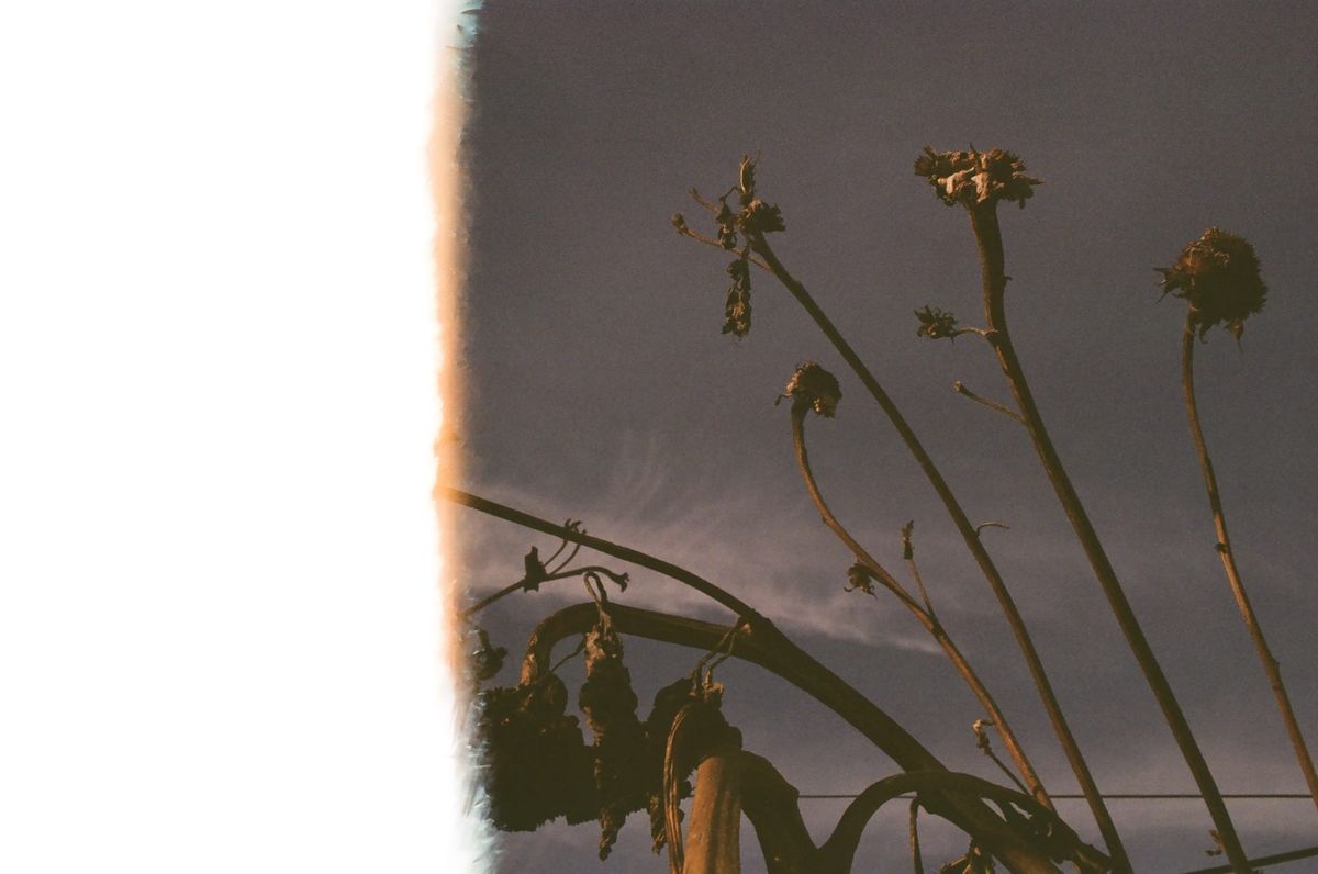 Follow-ups from Session 8 - Creative Compass 2025