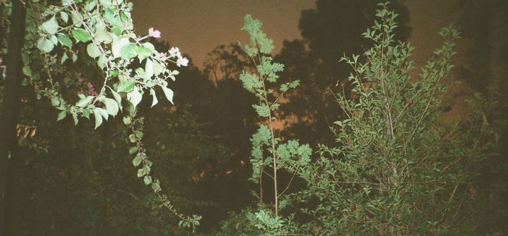 Follow-ups from Session 2 - Creative Compass 2025