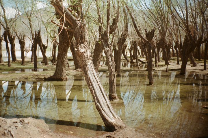 Follow-ups from Session 4 - Creative Compass 2025