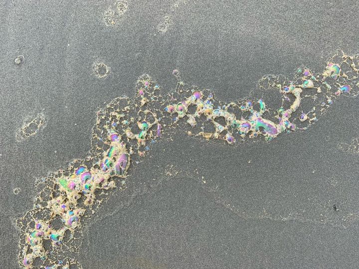 Sea-foam bubbles with shiny rainbow sheen. In a curvy pattern on packed sand.