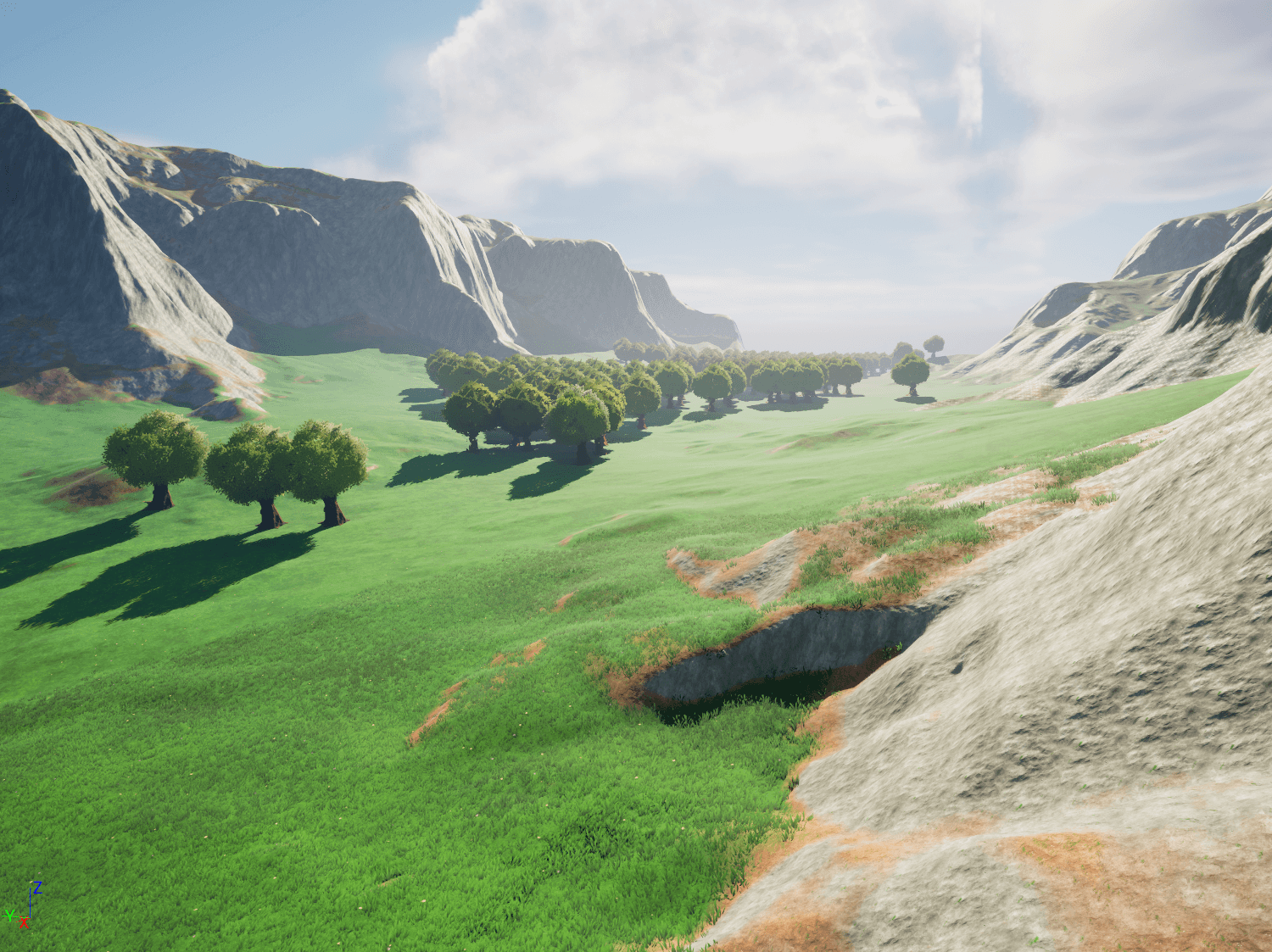 Nice forest, not too dense