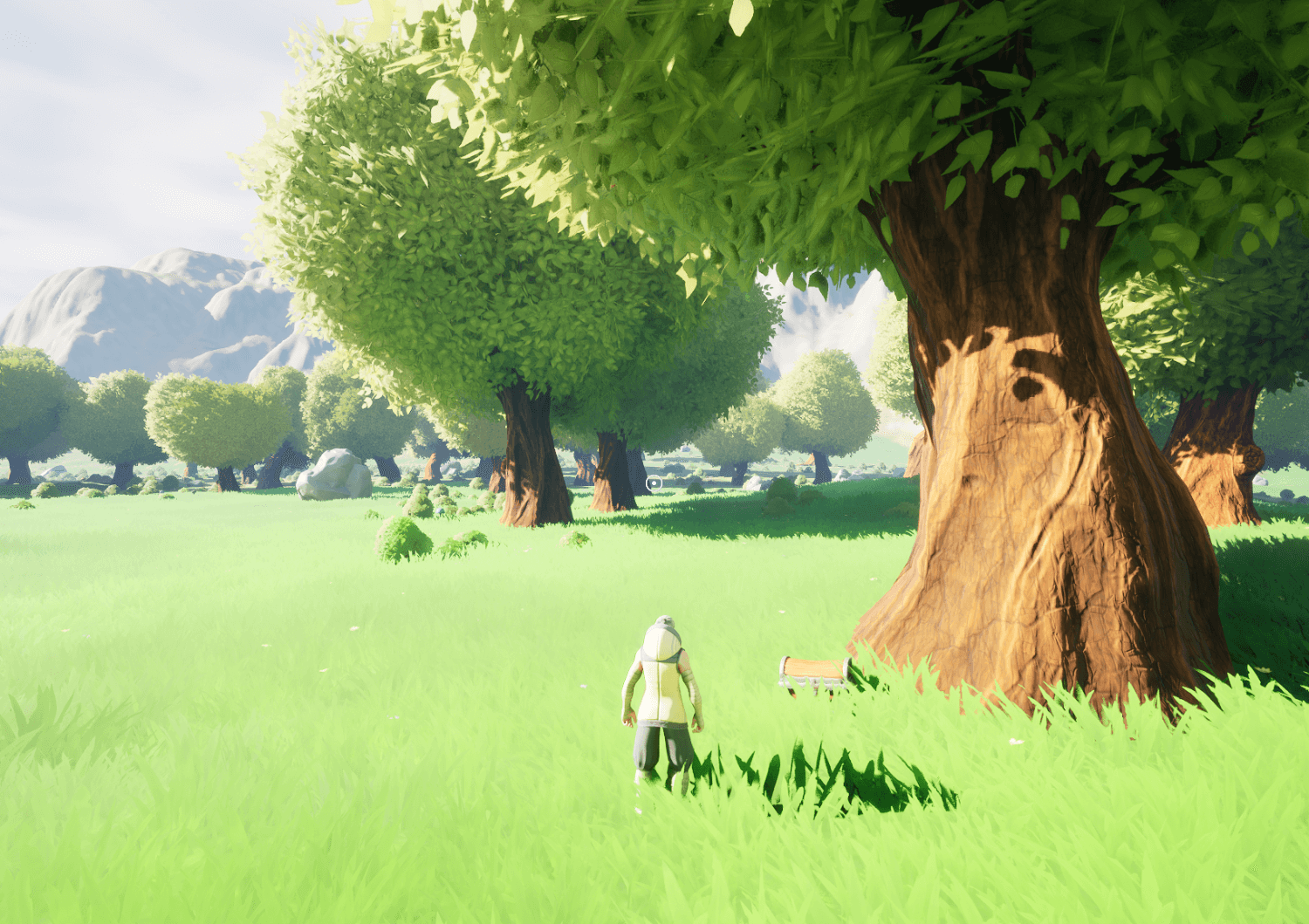 A chest under our pretty large tree