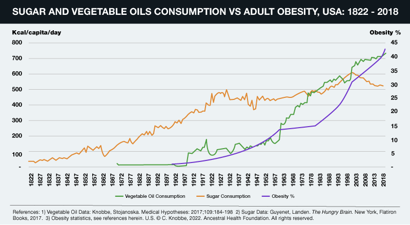 Consumo de azúcar y aceites vegetales provocan obesidad 