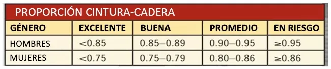 Proporción cintura-cadera
