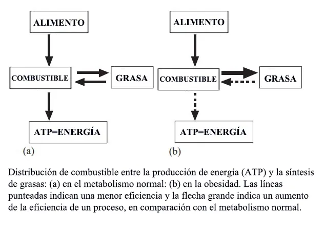 Energía ATP