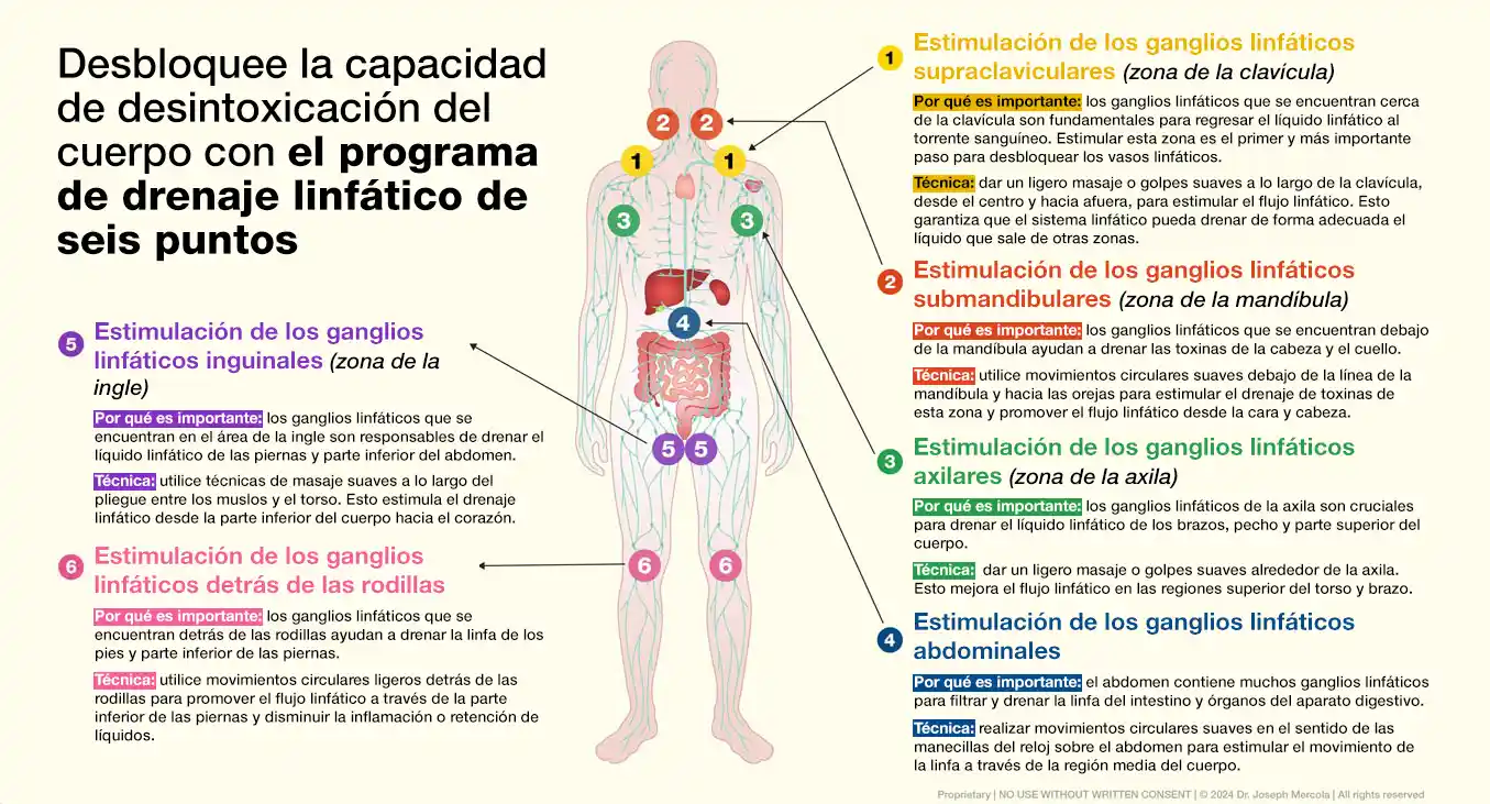 El programa de drenaje linfático de seis puntos